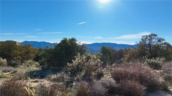 Anza, CA 92539,42475 La Brinia