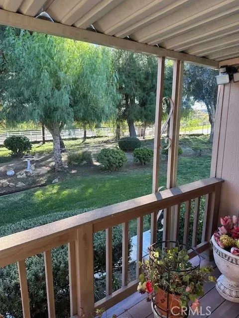 Winchester, CA 92596,32830 Shrimp