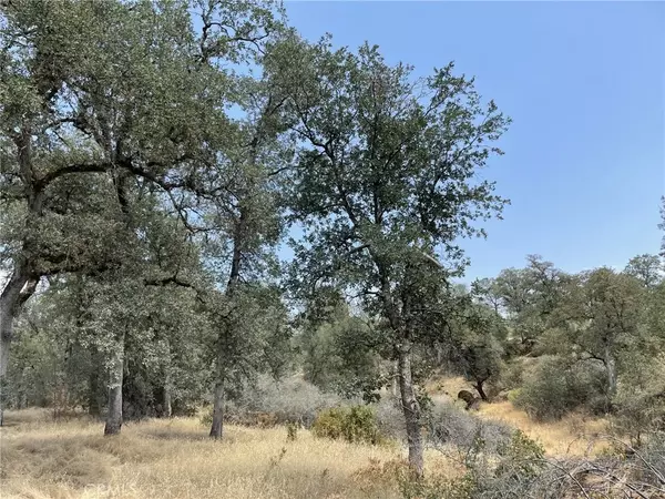 Bella Vista, CA 96003,0 Mirror V