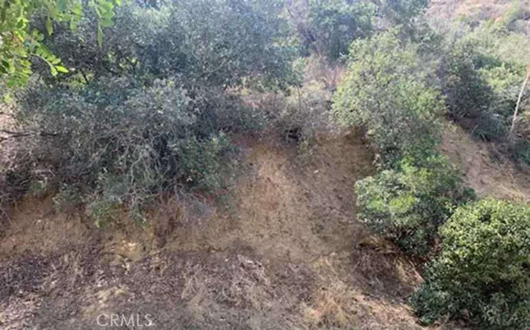 0 Hidea, Silverado Canyon, CA 92676