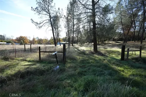 Corning, CA 96021,7672 Green Oak