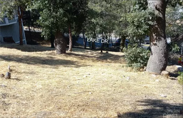 Crestline, CA 92325,0 Lake
