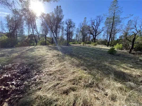 15785 Placer, Corning, CA 96021