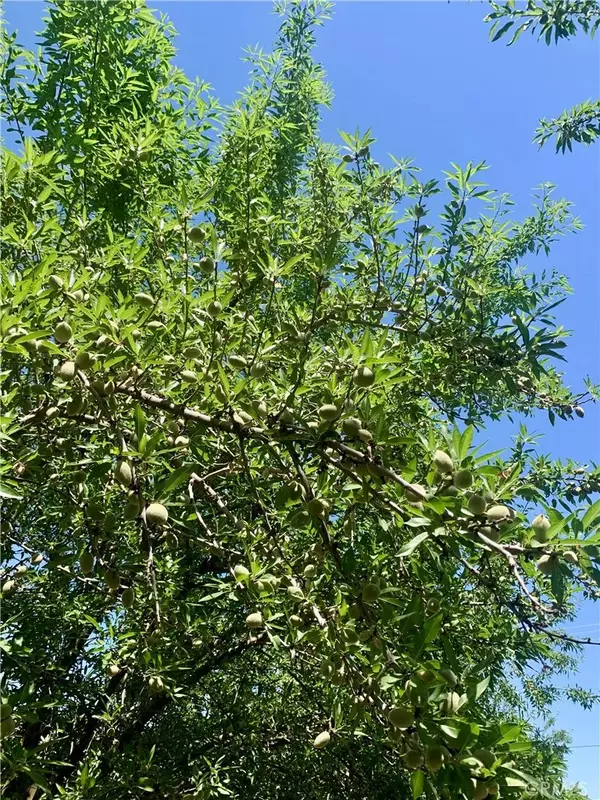 CA 93256,10351 Avenue 112