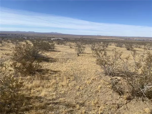Oro Grande, CA 92368,0 Delmonico