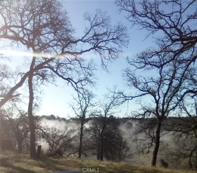 17065 Fawn, Corning, CA 96021