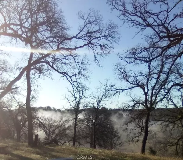 17065 Fawn, Corning, CA 96021