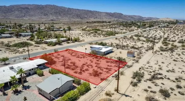 29 Palms, CA 92277,0 Cactus