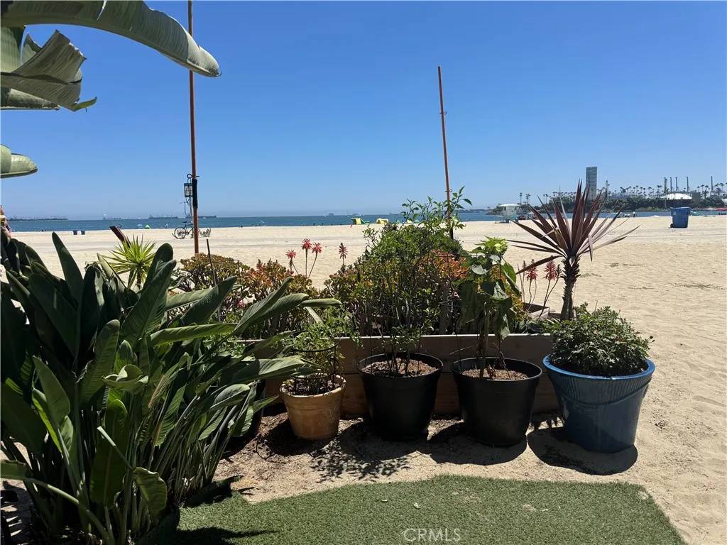 Long Beach, CA 90802,1200 E Ocean Boulevard #13