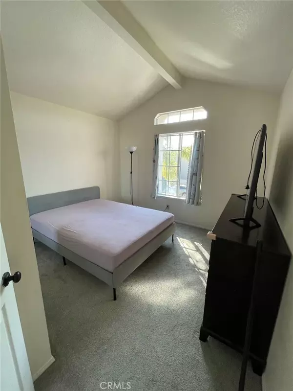 Irvine, CA 92614,6 Latina