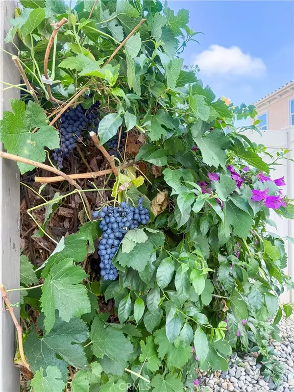 Chino Hills, CA 91709,5117 Pomona Rincon Road