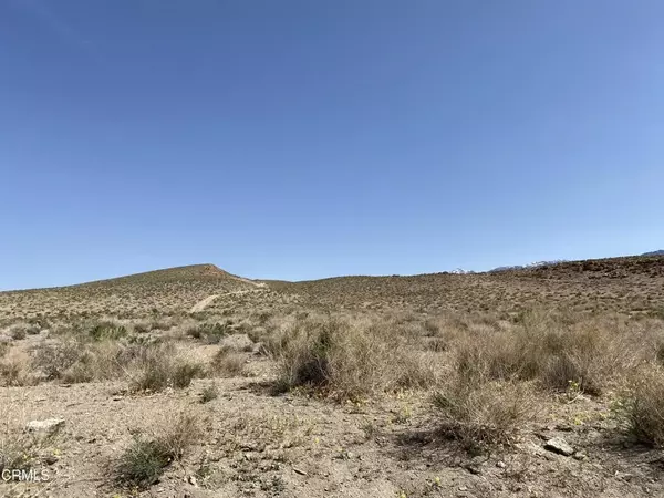 Bishop, CA 93514,0 Fish Slough