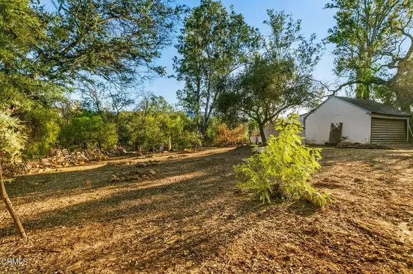 Ojai, CA 93023,304 Topa Topa Drive