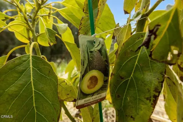 Somis, CA 93066,5536 La Cumbre Road