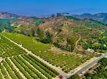 0 Foothill, Santa Paula, CA 93060