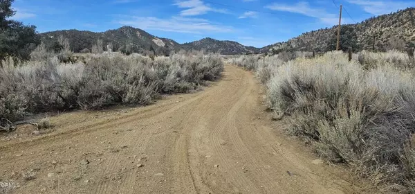 Frazier Park, CA 93225,0 Boy Scout Camp
