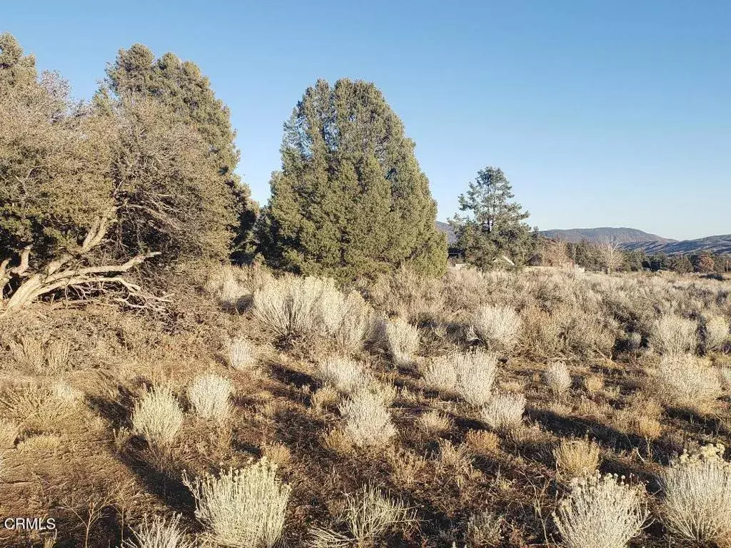 Frazier Park, CA 93225,0 Boy Scout Camp