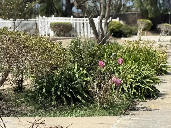 Camarillo, CA 93010,43 Cerro Crest