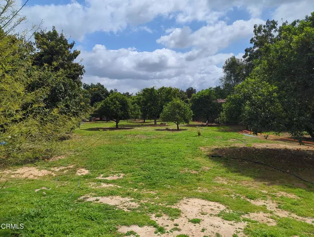 Ojai, CA 93023,0 N Rice