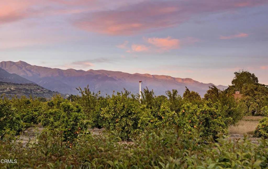 714 Mercer Avenue, Ojai, CA 93023