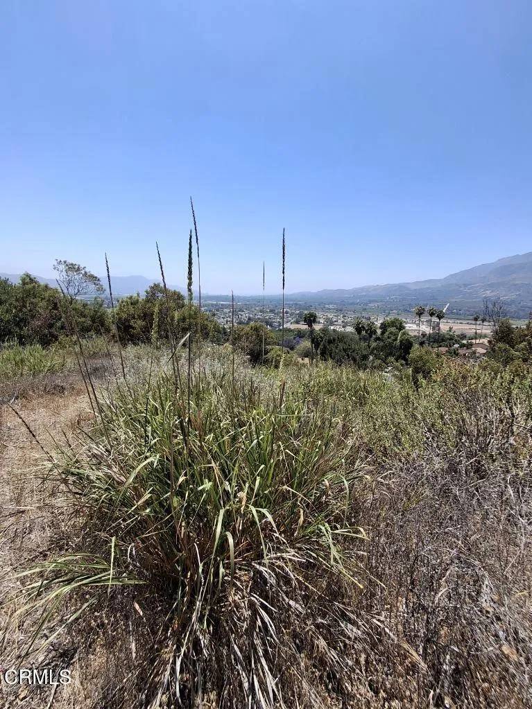 Fillmore, CA 93015,0 Fremlin