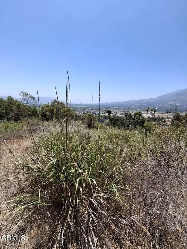 Fillmore, CA 93015,0 Fremlin