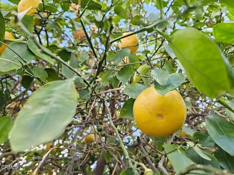 45390 Desert Eagle Court, La Quinta, CA 92253