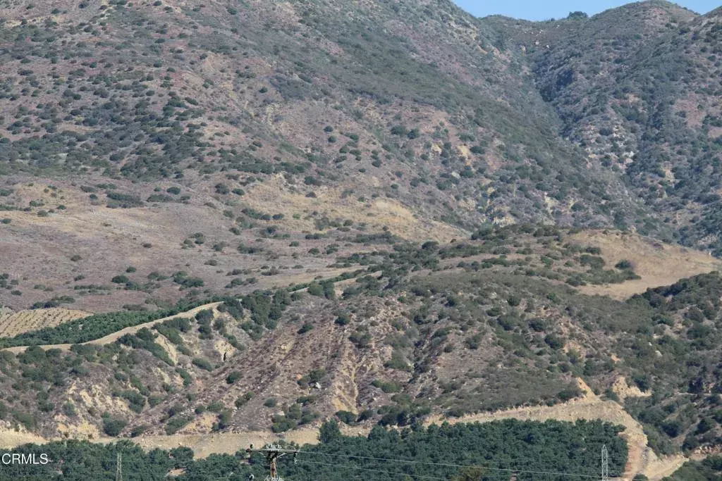 Fillmore, CA 93015,0 Fillmore