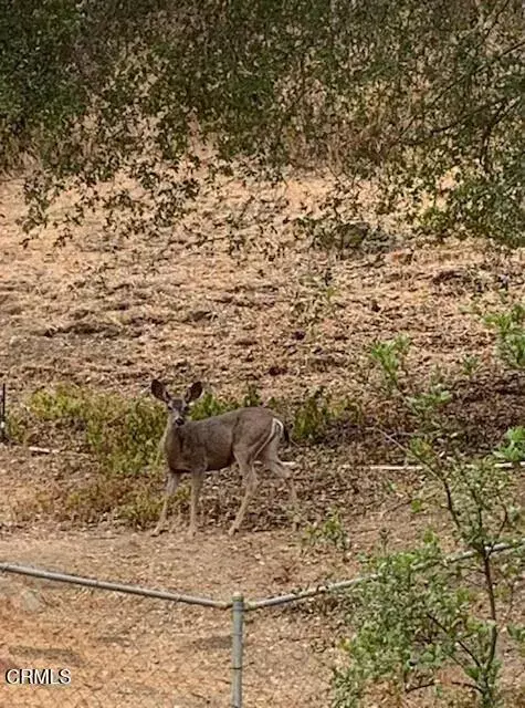 Agoura Hills, CA 91301,27326 Oak Summit Road