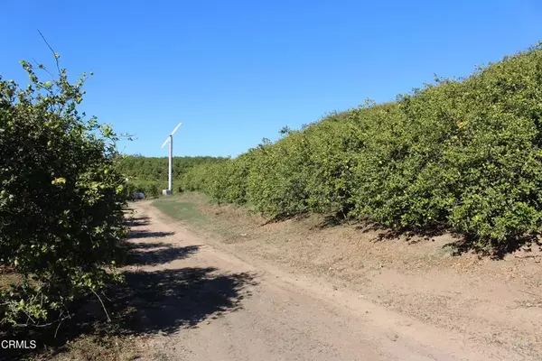 Somis, CA 93066,4363 Sand Canyon