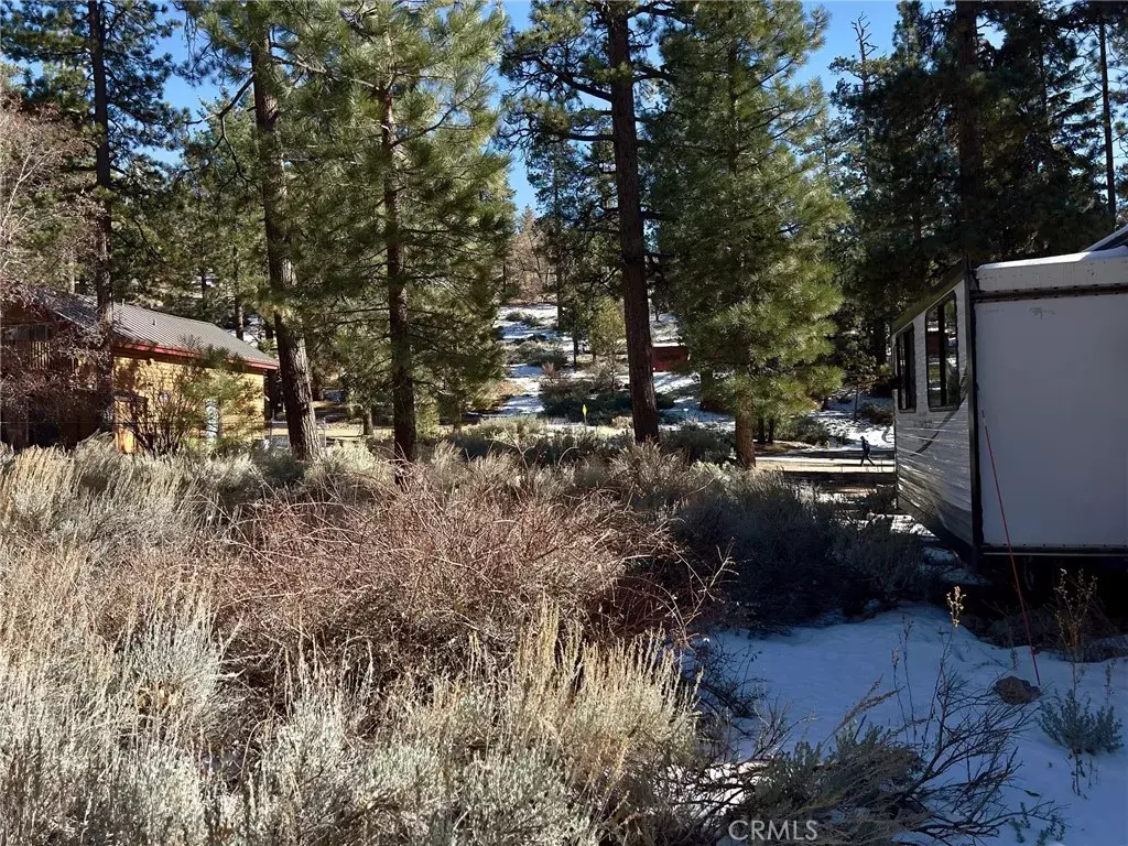 Fawnskin, CA 92333,1 Canyon