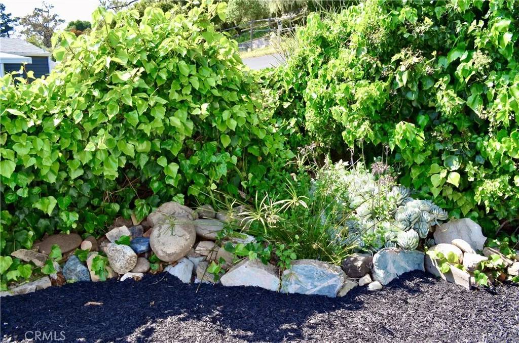 Cambria, CA 93428,1226 N Main ST #36
