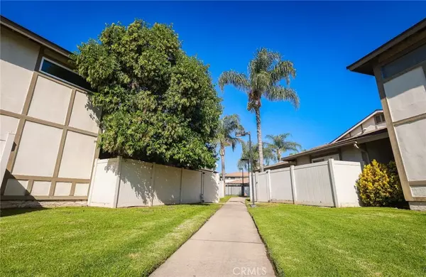 Ontario, CA 91762,952 Cone Flower