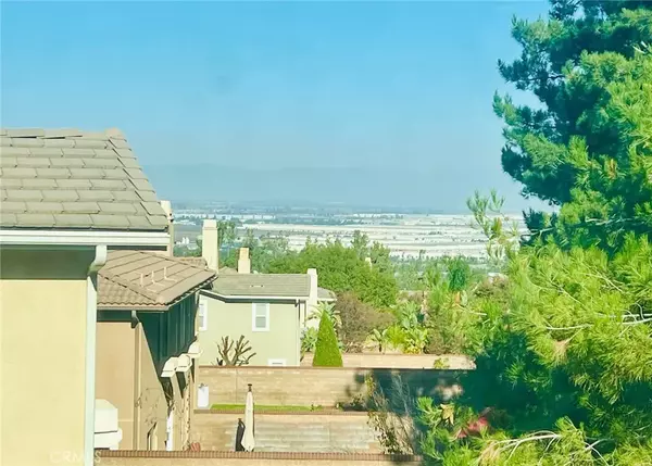 Chino Hills, CA 91709,5095 Buckwheat