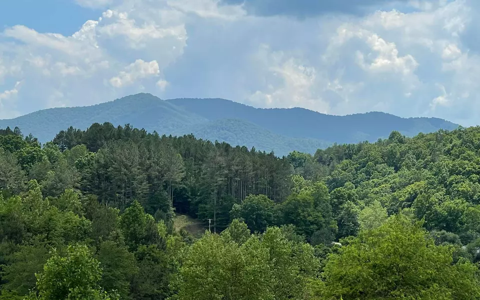 Lot 14B Saddle Ridge Farms, Warne, NC 28909