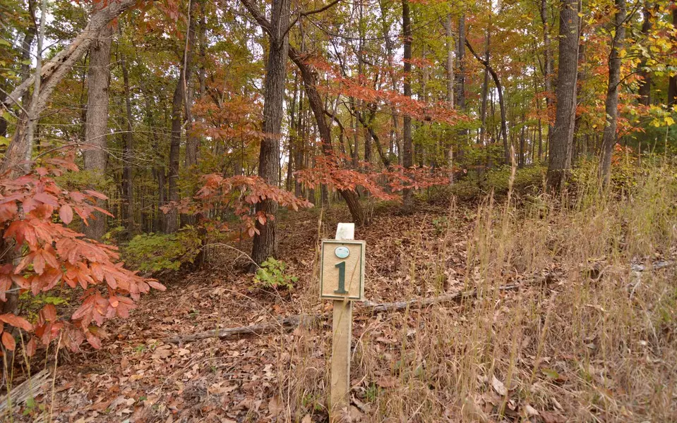 Lot 1 Serenity Ridge Lane, Blairsville, GA 30512