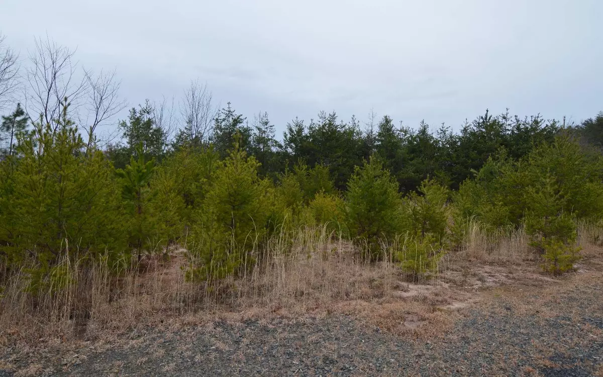 Brasstown, NC 28904,LOT 2 The Preserve At Beach Mountain