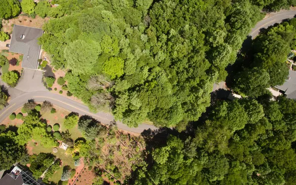 Hiawassee, GA 30546,Lot 26 Lake Forest Estates