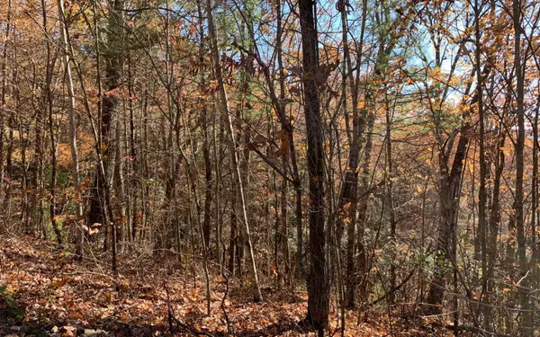 Hayesville, NC 28904,Lot 49 Fires Creek Cove Road