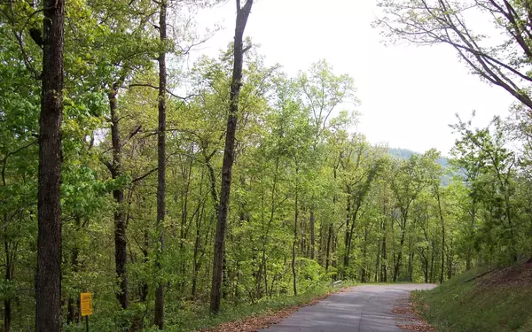 Hayesville, NC 28904,29 Coyote Cove