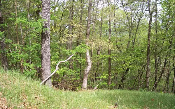Hayesville, NC 28904,30 Coyote Cove