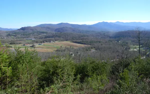 Young Harris, GA 30582,Lot 27 Standing Meadows Drive