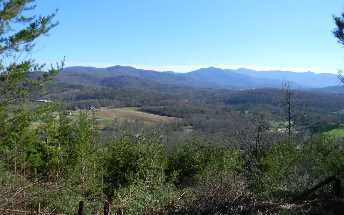 Young Harris, GA 30582,Lot 27 Standing Meadows Drive