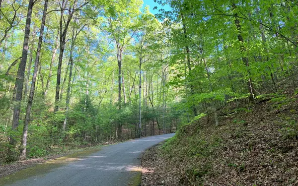 Hayesville, NC 28904,Lot 44 Fires Creek Cove Road