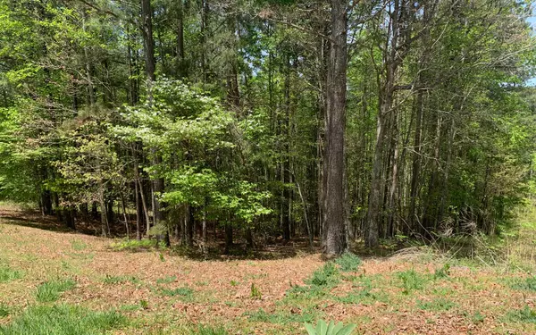 Blairsville, GA 30512,Lot 28 Loftis Mountain