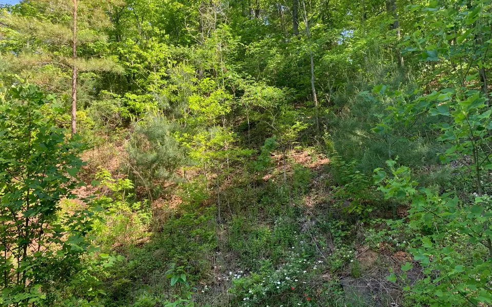 Lot 4A Trillium Heights, Brasstown, NC 28902