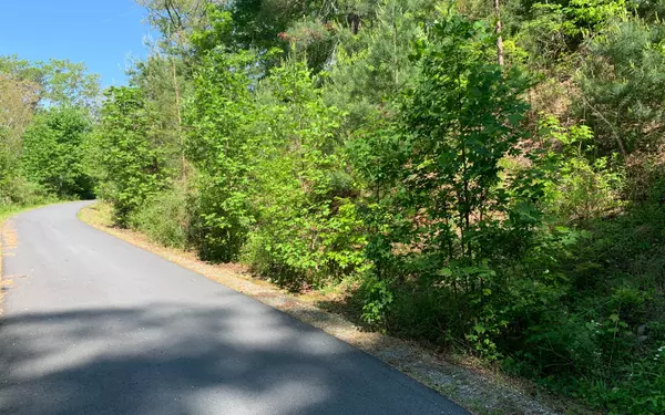 Brasstown, NC 28902,Lot 4A Trillium Heights