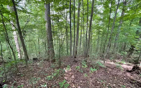 Hiawassee, GA 30546,Lot 19 Bear Trail
