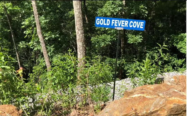 Blairsville, GA 30512,96 Mine Cart Trail