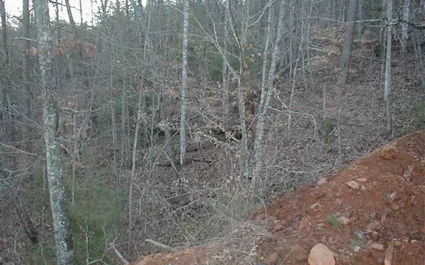 Murphy, NC 28906,29 Lake Point Drive